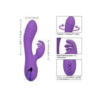 West Coast Wave Rider PURPLE