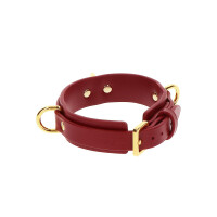 D-Ring Collar Deluxe