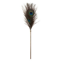 Peacock Tickler