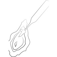 Pop